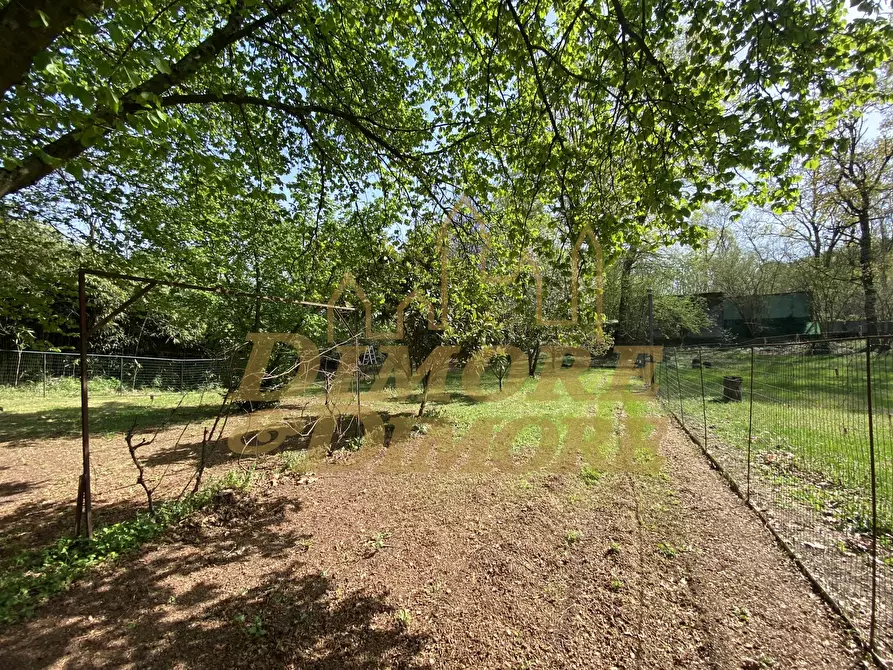 Immagine 13 di Showroom in vendita  a Castelletto Sopra Ticino