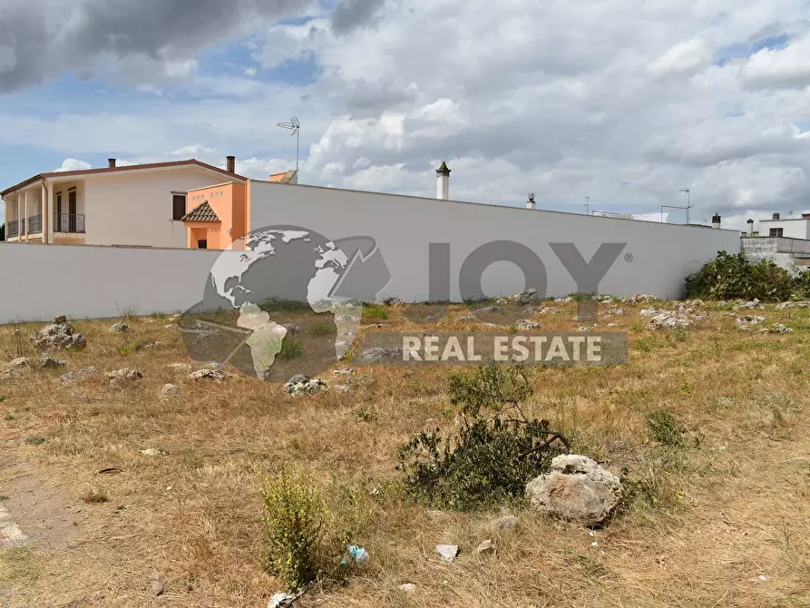Immagine 12 di Terreno agricolo in vendita  in via morandi a San Donato Di Lecce