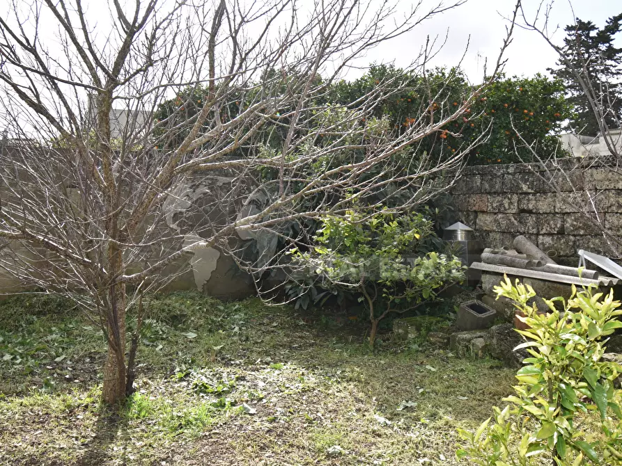 Immagine 63 di Casa indipendente in vendita  in Via Montello 28 a Zollino