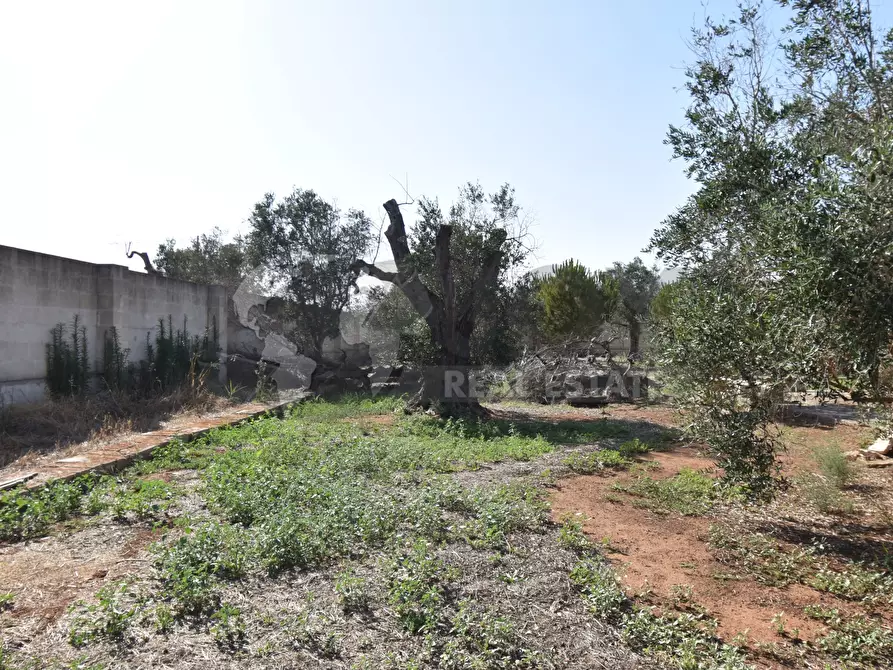 Immagine 20 di Casa indipendente in vendita  in Via Bernardino Desa 14 a Copertino