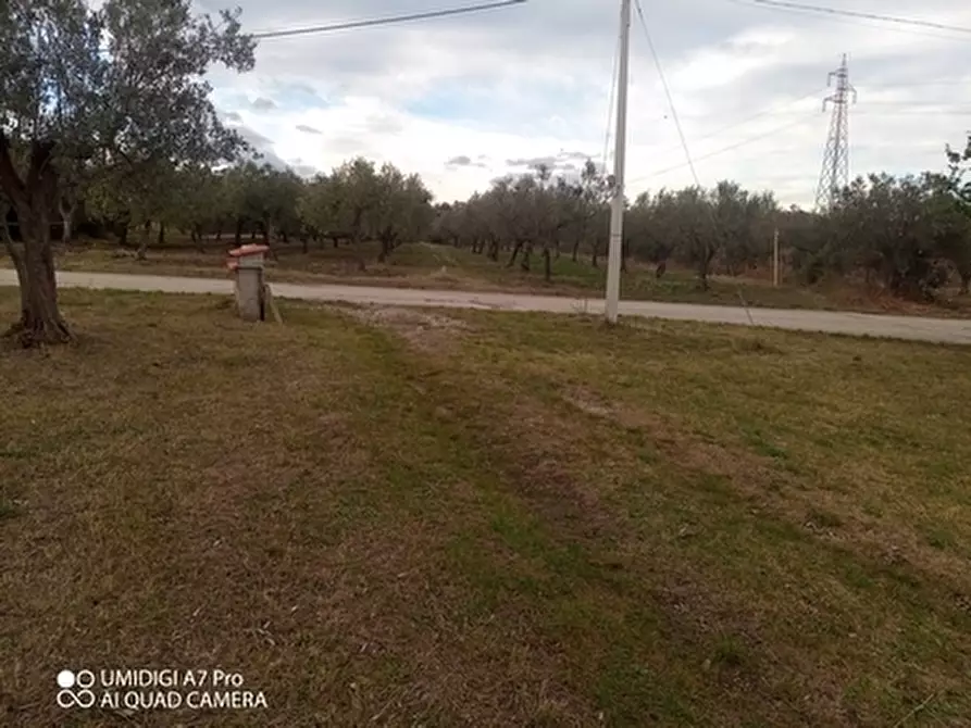 Immagine 18 di Rustico / casale in vendita  in VIA VECCHIA SCORCIOSA a Fossacesia