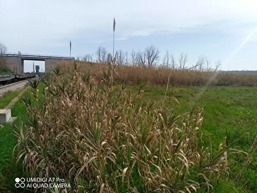 Immagine 1 di Terreno agricolo in vendita  in LOCALITA' CIVITELLA a Paglieta