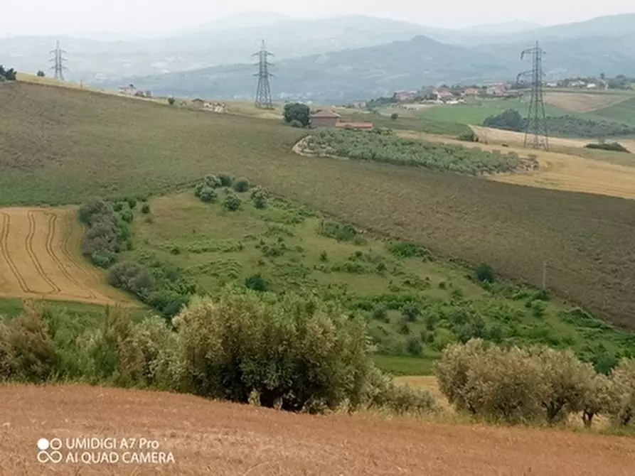 Immagine 4 di Terreno agricolo in vendita  in LOCALITA' CATOSCIO a Castel Frentano