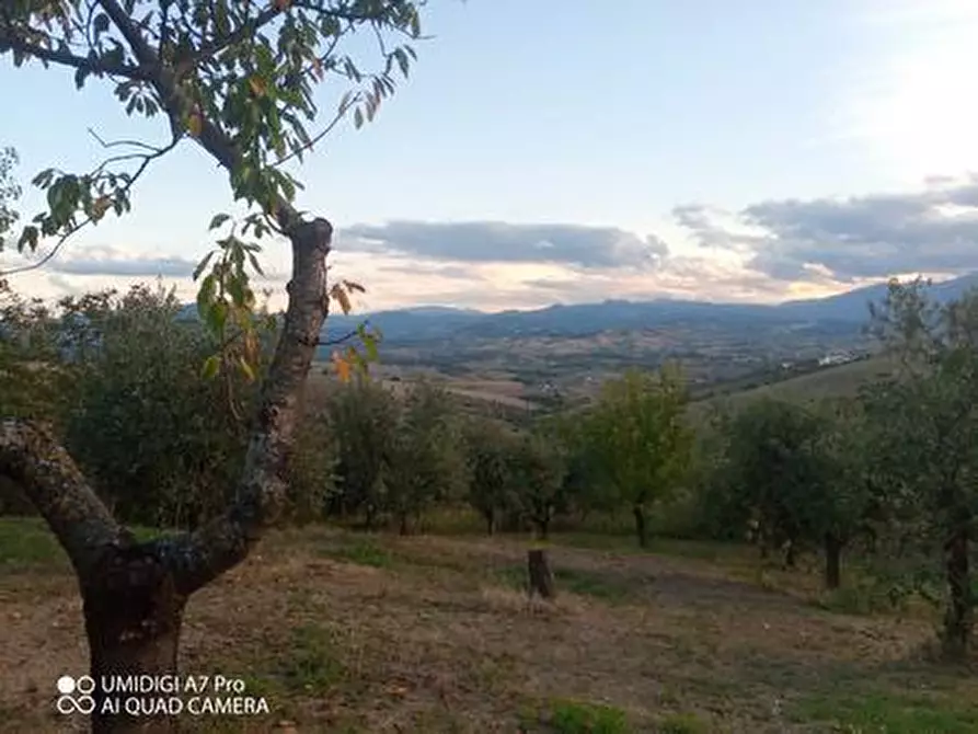 Immagine 31 di Rustico / casale in vendita  in VIA DE THOMASSIS a Castel Frentano
