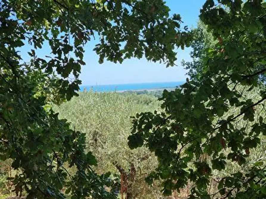 Immagine 9 di Terreno agricolo in vendita  a Santa Maria Imbaro