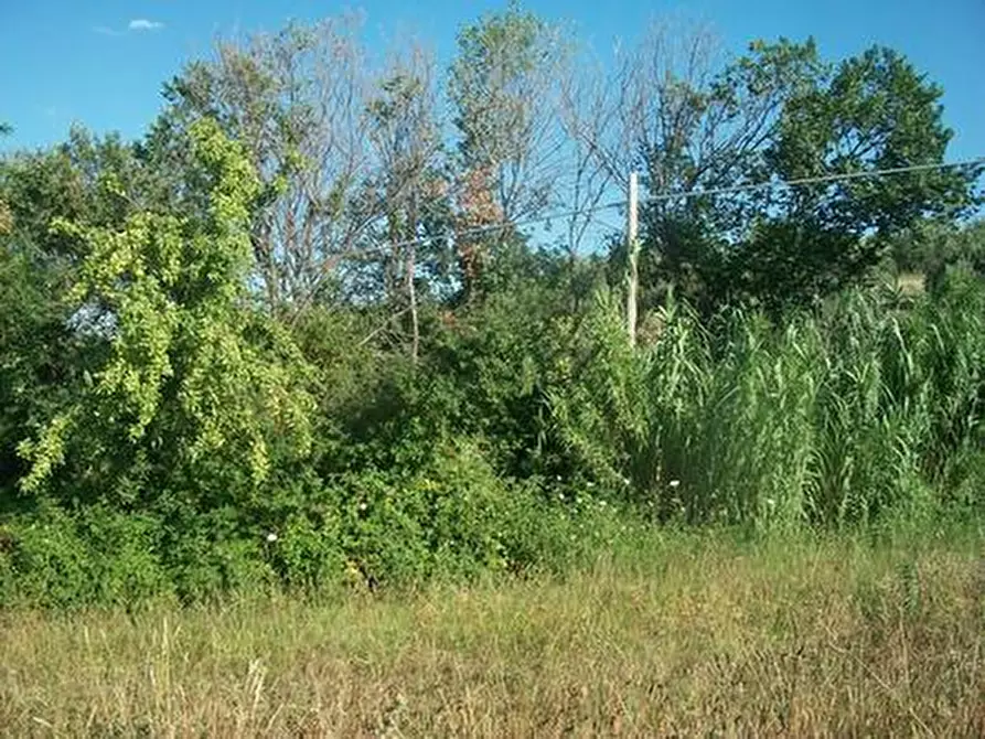 Immagine 5 di Terreno agricolo in vendita  in C.DA RIZZACORNO a Lanciano