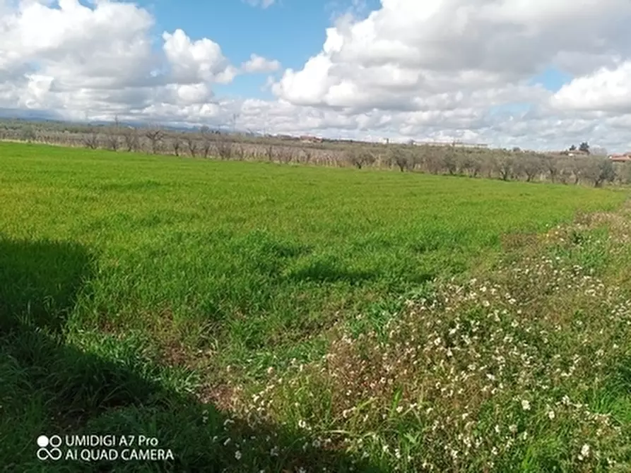 Immagine 10 di Terreno agricolo in vendita  a Fossacesia