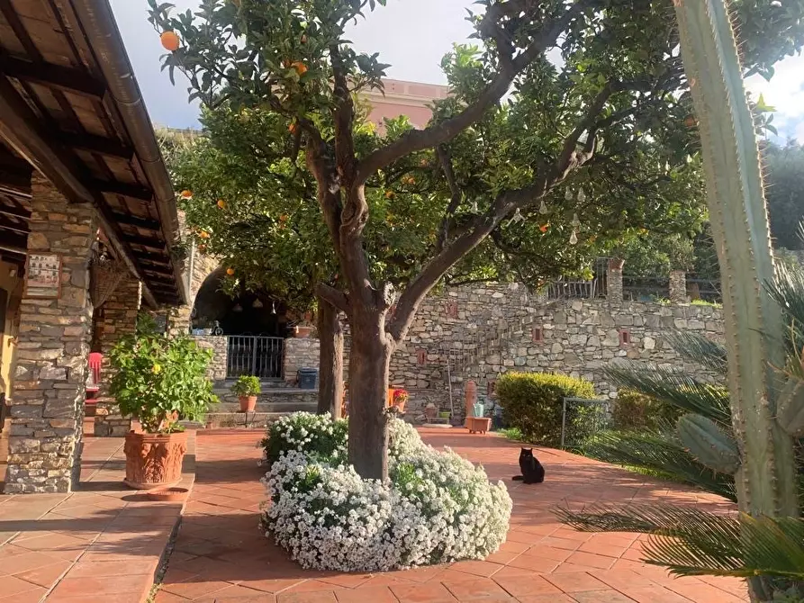 Immagine 26 di Villa in vendita  in Via Adelasia a Alassio