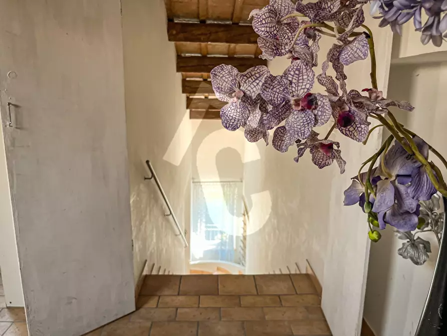 Immagine 25 di Appartamento in vendita  a Jesi