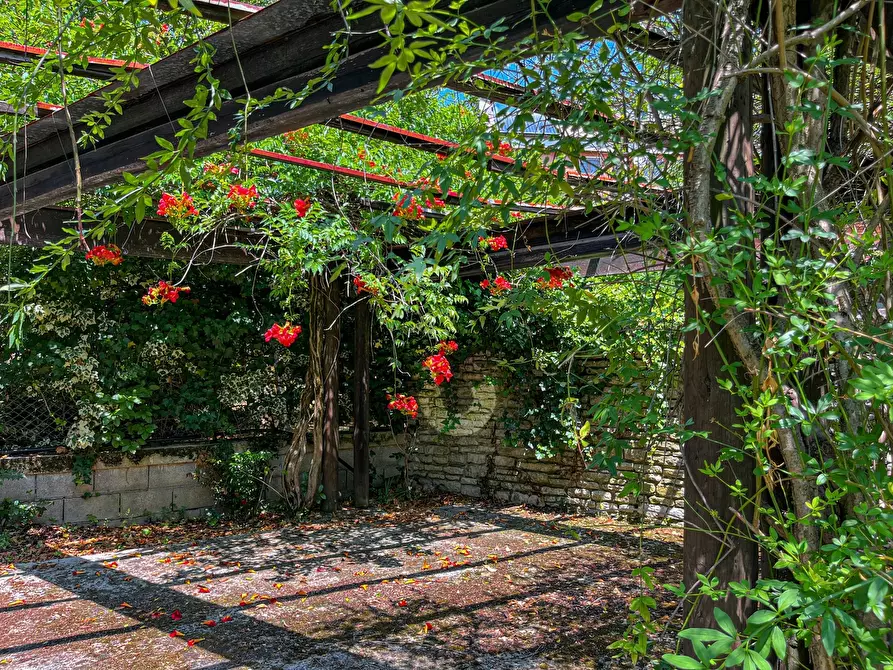 Immagine 52 di Villa in vendita  a Jesi
