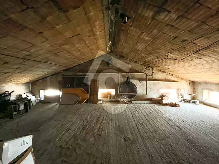 Immagine 41 di Rustico / casale in vendita  a Staffolo