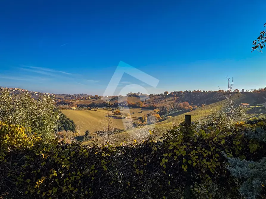 Immagine 6 di Rustico / casale in vendita  a Staffolo