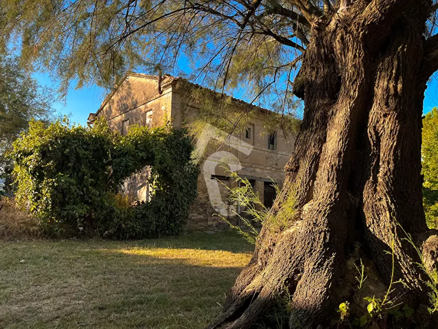 Immagine 23 di Rustico / casale in vendita  a Jesi