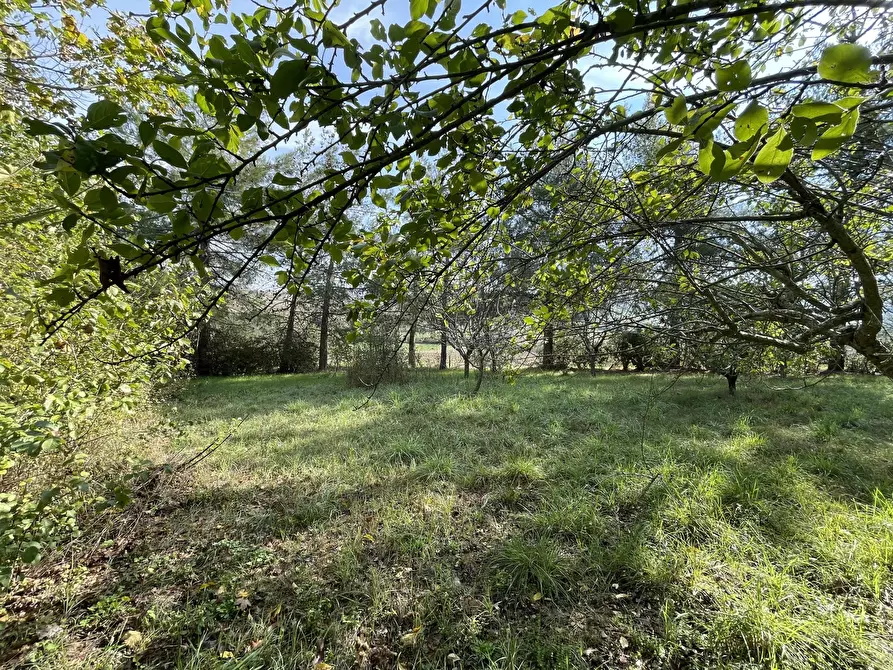 Immagine 4 di Casa bifamiliare in vendita  a Jesi