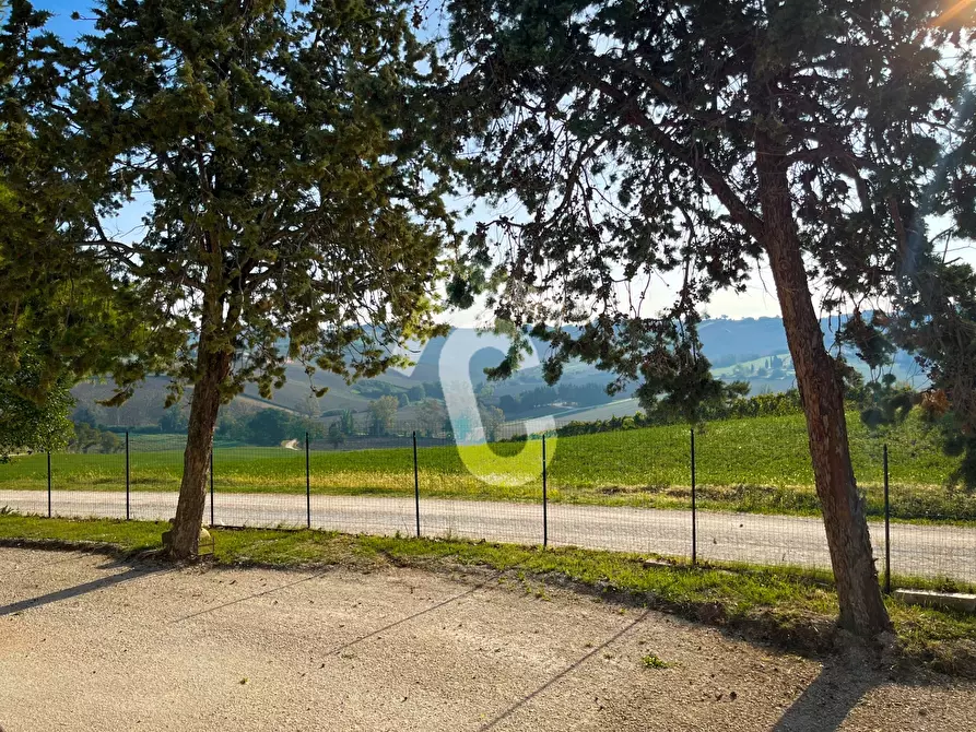 Immagine 10 di Rustico / casale in vendita  a Montecarotto