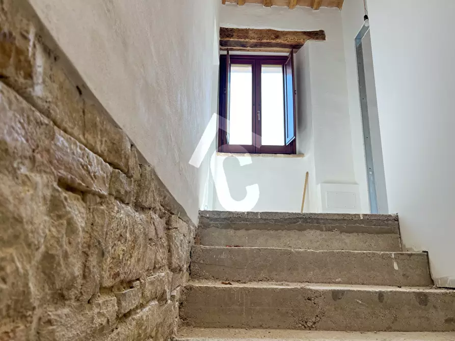 Immagine 36 di Rustico / casale in vendita  a Serra San Quirico