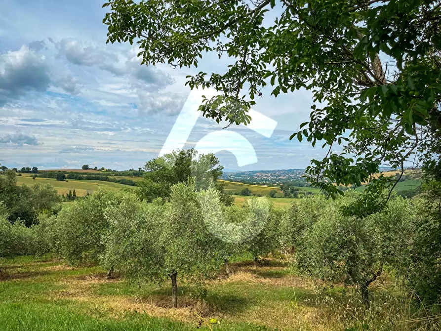 Immagine 23 di Rustico / casale in vendita  a Jesi