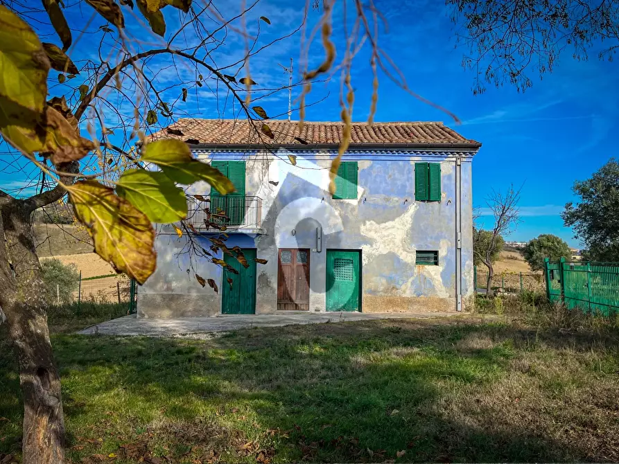 Immagine 23 di Rustico / casale in vendita  a Belvedere Ostrense