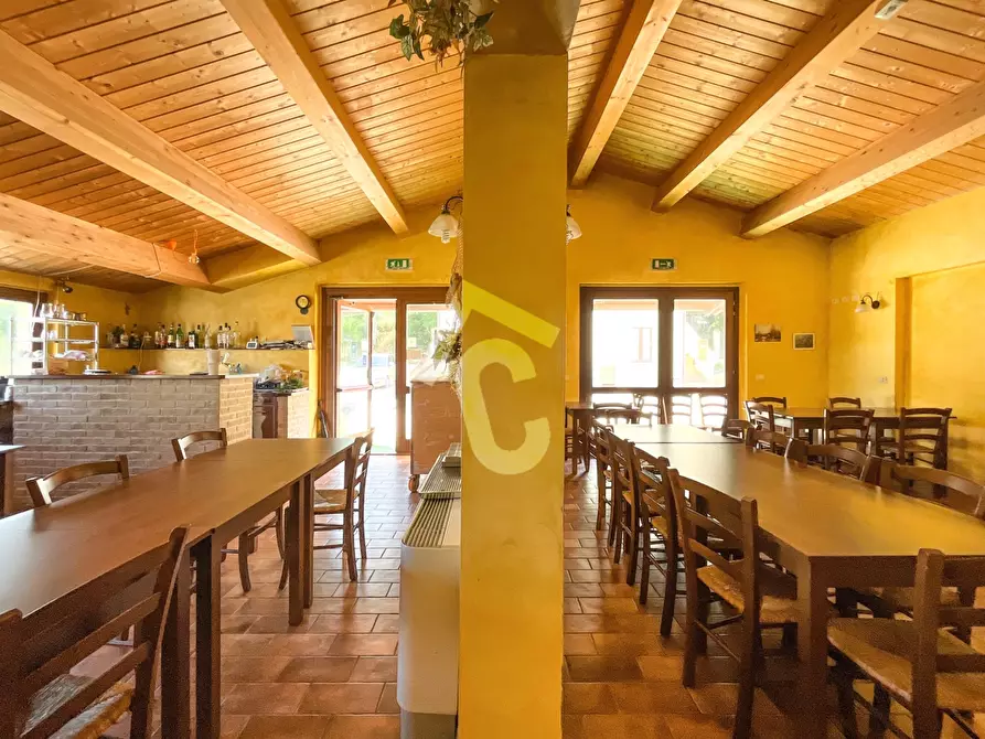 Immagine 25 di Rustico / casale in vendita  a Maiolati Spontini