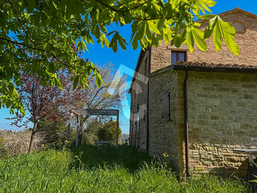 Immagine 14 di Rustico / casale in vendita  a Serra San Quirico