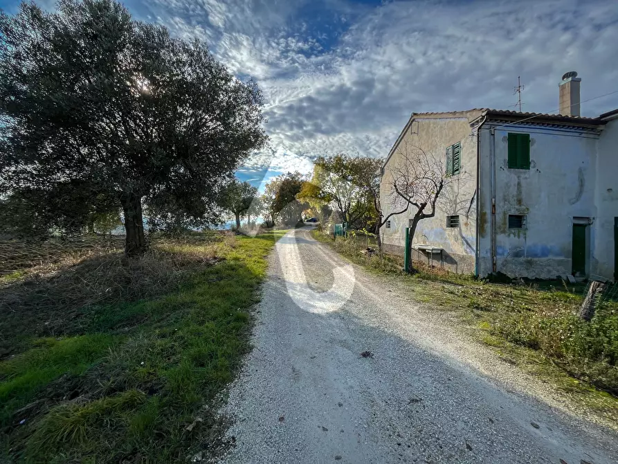 Immagine 31 di Rustico / casale in vendita  a Belvedere Ostrense