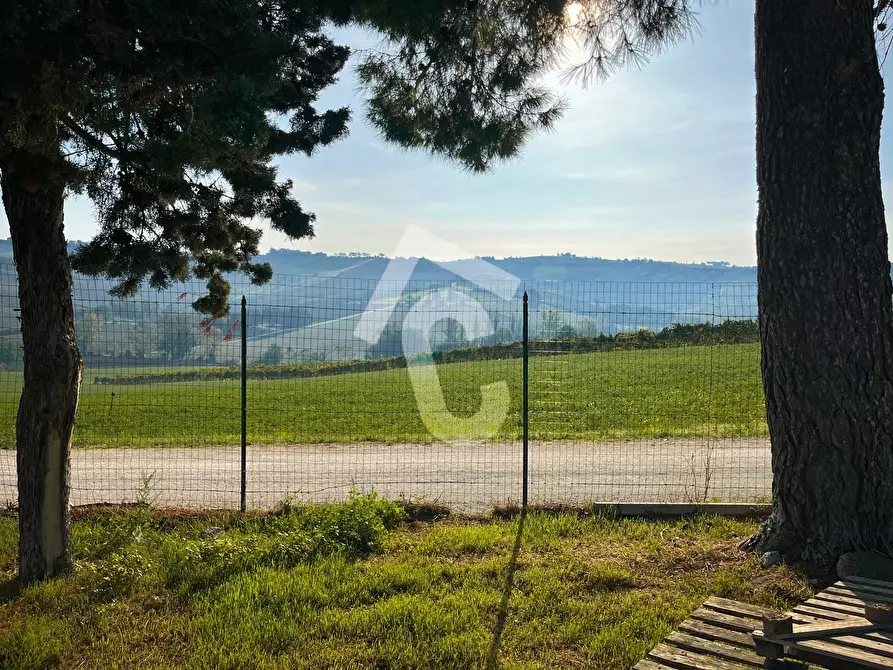 Immagine 5 di Rustico / casale in vendita  a Montecarotto
