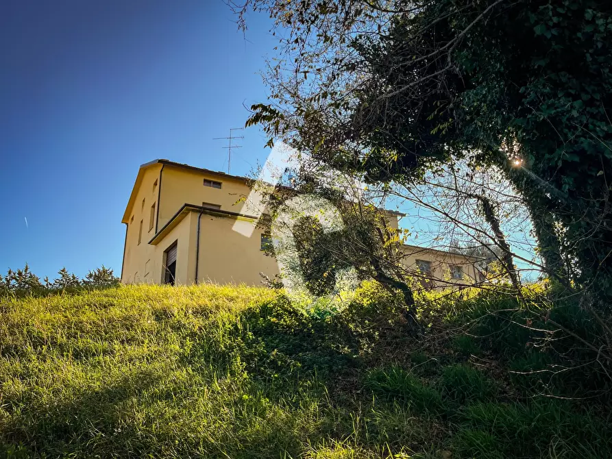 Immagine 15 di Rustico / casale in vendita  a Staffolo