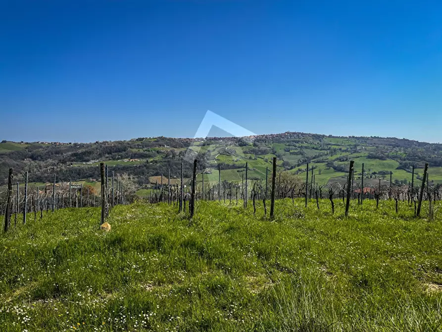 Immagine 3 di Rustico / casale in vendita  a Serra San Quirico