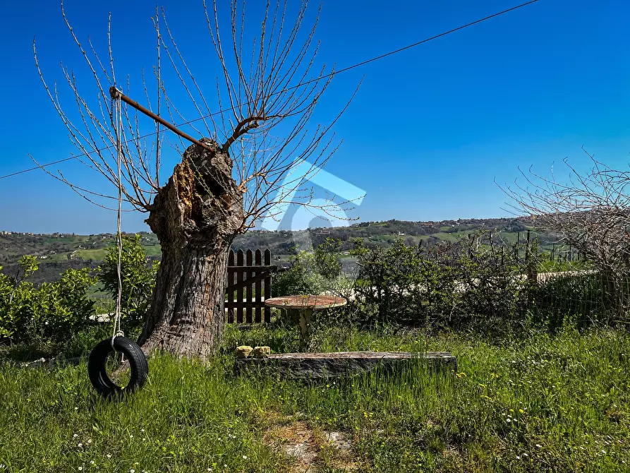 Immagine 5 di Rustico / casale in vendita  a Serra San Quirico