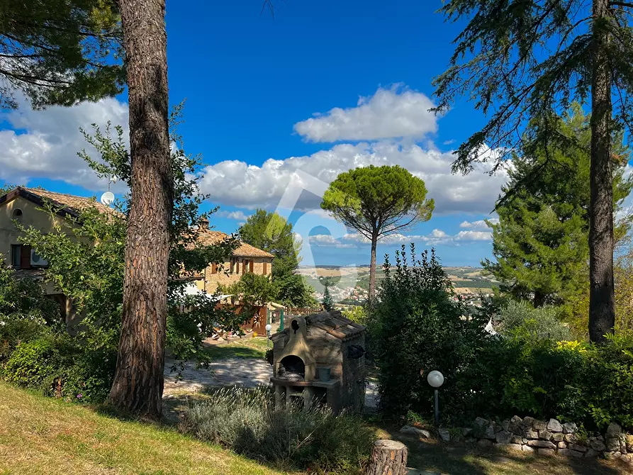 Immagine 48 di Casa bifamiliare in vendita  a Castelbellino