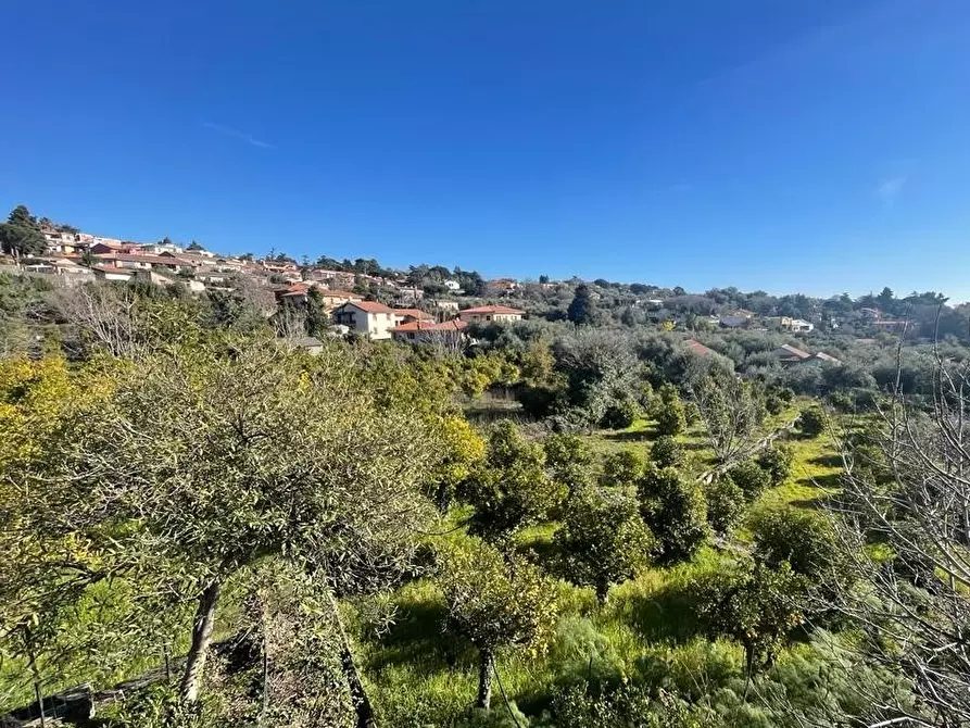 Immagine 30 di Terreno industriale in vendita  a Trecastagni