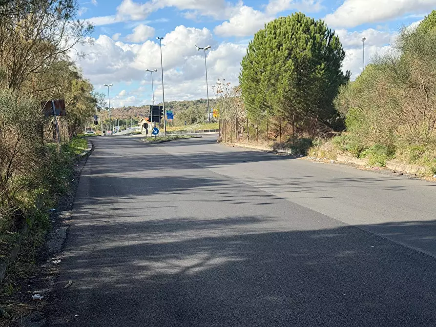 Immagine 7 di Terreno agricolo in vendita  a Nicolosi