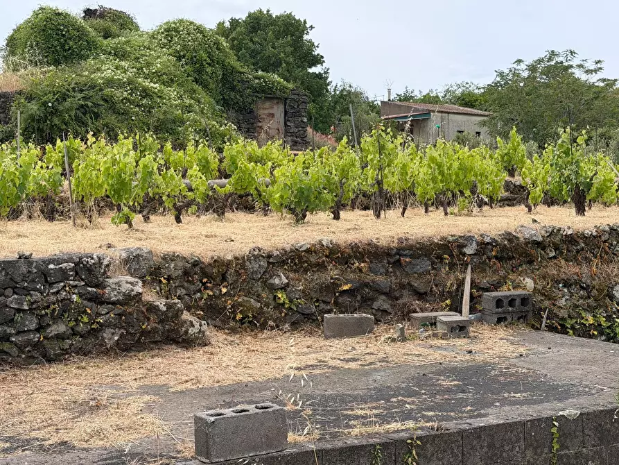 Immagine 7 di Terreno agricolo in vendita  a Tremestieri Etneo