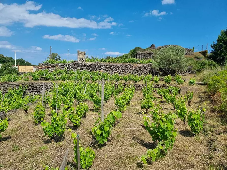 Immagine 22 di Terreno agricolo in vendita  a Tremestieri Etneo