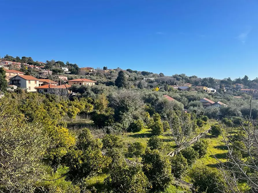 Immagine 28 di Terreno industriale in vendita  a Trecastagni