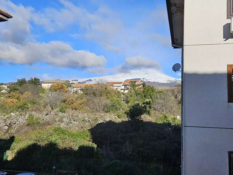 Immagine 26 di Appartamento in affitto  a Pedara