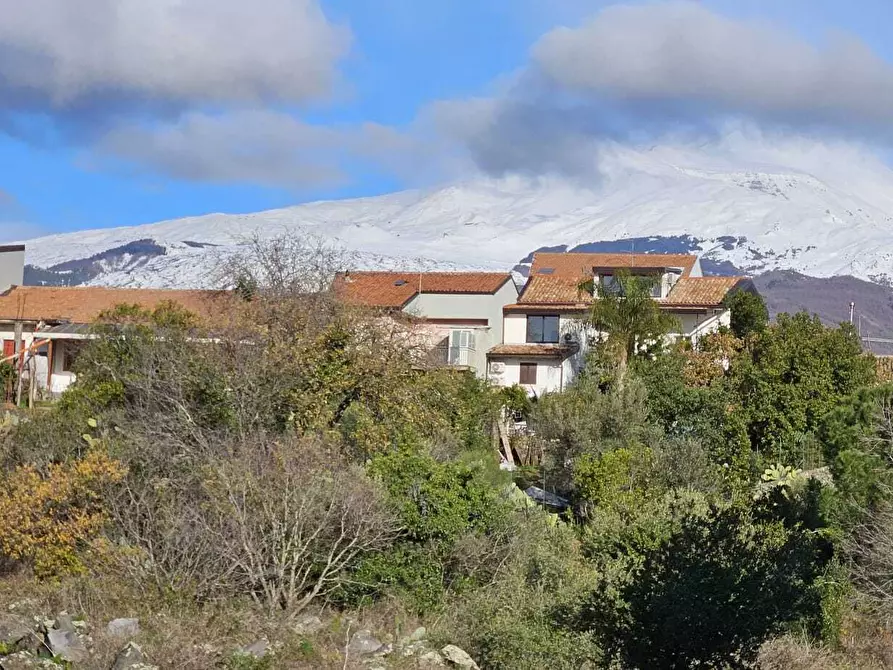 Immagine 22 di Appartamento in affitto  a Pedara