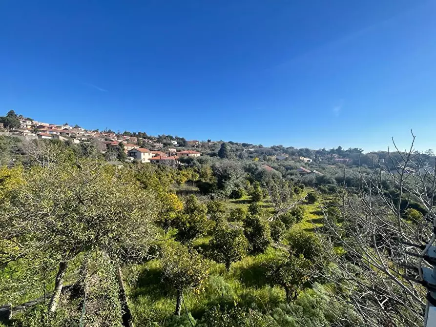 Immagine 29 di Terreno industriale in vendita  a Trecastagni