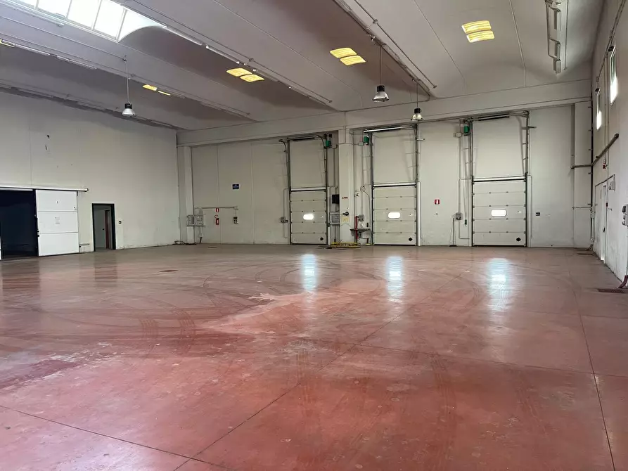Immagine 6 di Capannone industriale in affitto  a Scordia