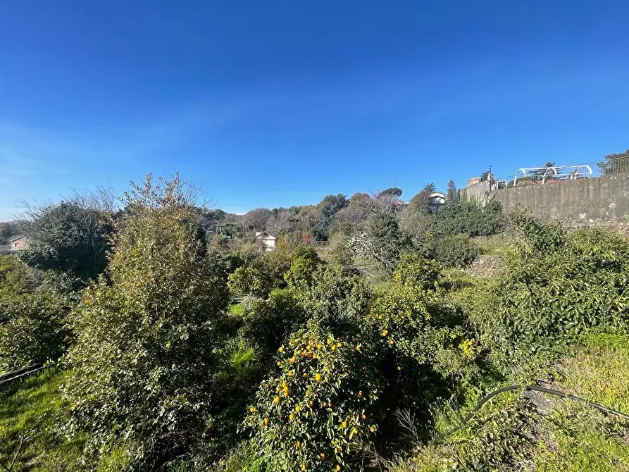 Immagine 21 di Terreno industriale in vendita  a Trecastagni