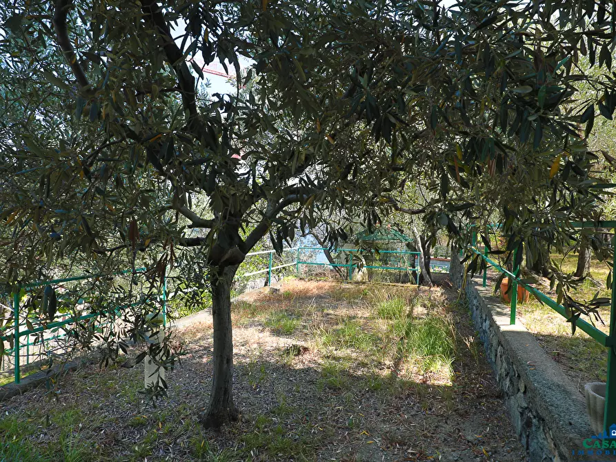 Immagine 10 di Villa in vendita  in Via Livio Canale 72 a Varazze