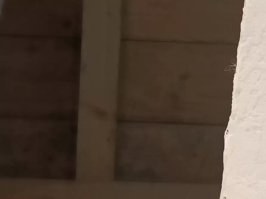 Immagine 25 di Casa indipendente in vendita  in Via San Remigio 7 a Parodi Ligure