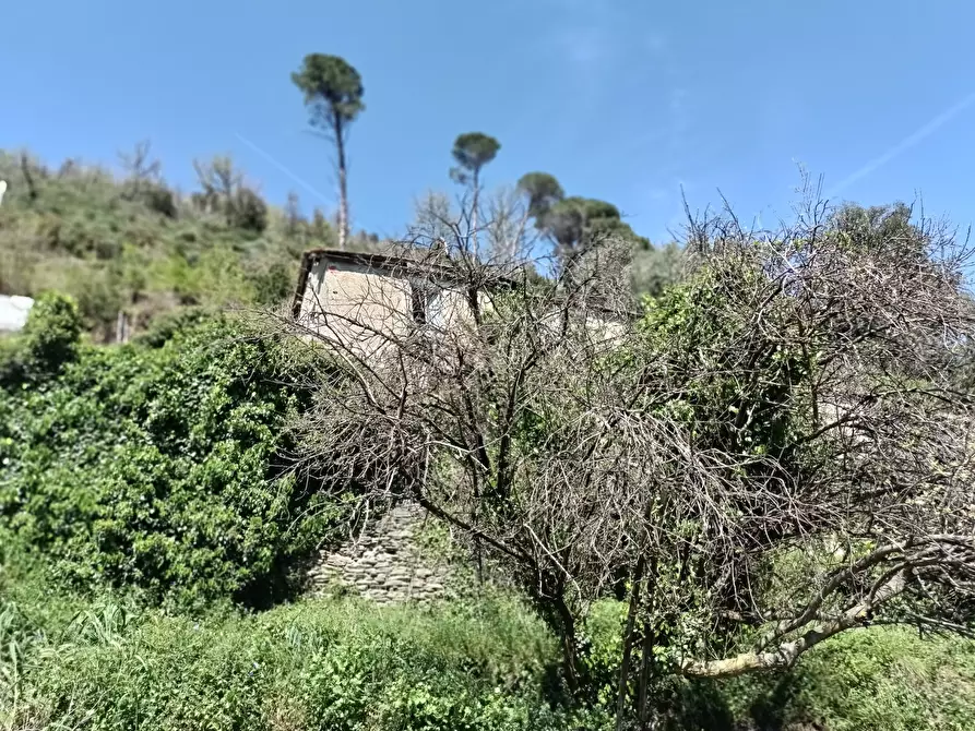 Immagine 44 di Casa indipendente in vendita  in Via Campomarzio 9 a Varazze