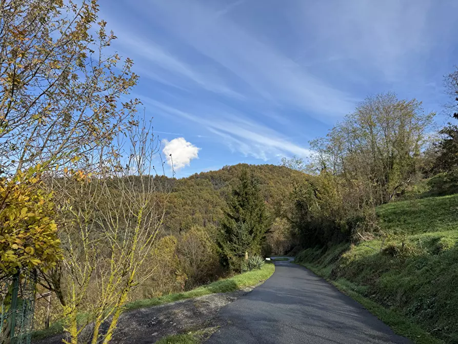 Immagine 54 di Casa semindipendente in vendita  in Via Pascoli 1 a Fivizzano