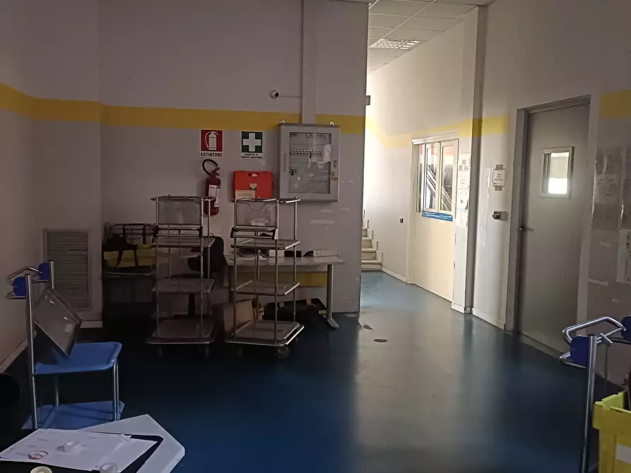 Immagine 4 di Attività artigianale in affitto  in Via Giuseppe Ungaretti 10 a Genova