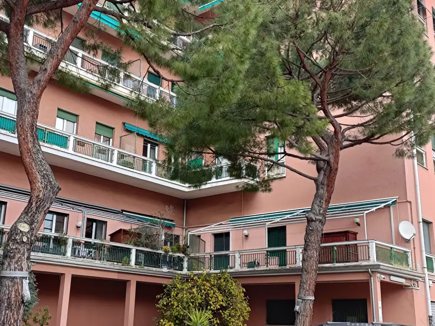 Immagine 2 di Appartamento in affitto  in Via all'Asilo Davide e Delfina Garbarino 2 a Genova