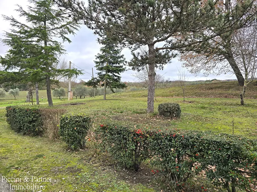 Immagine 31 di Casa indipendente in vendita  in Strada di Pereta a Chianciano Terme