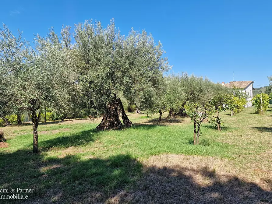 Immagine 61 di Rustico / casale in vendita  in Strada di Compresso a Perugia