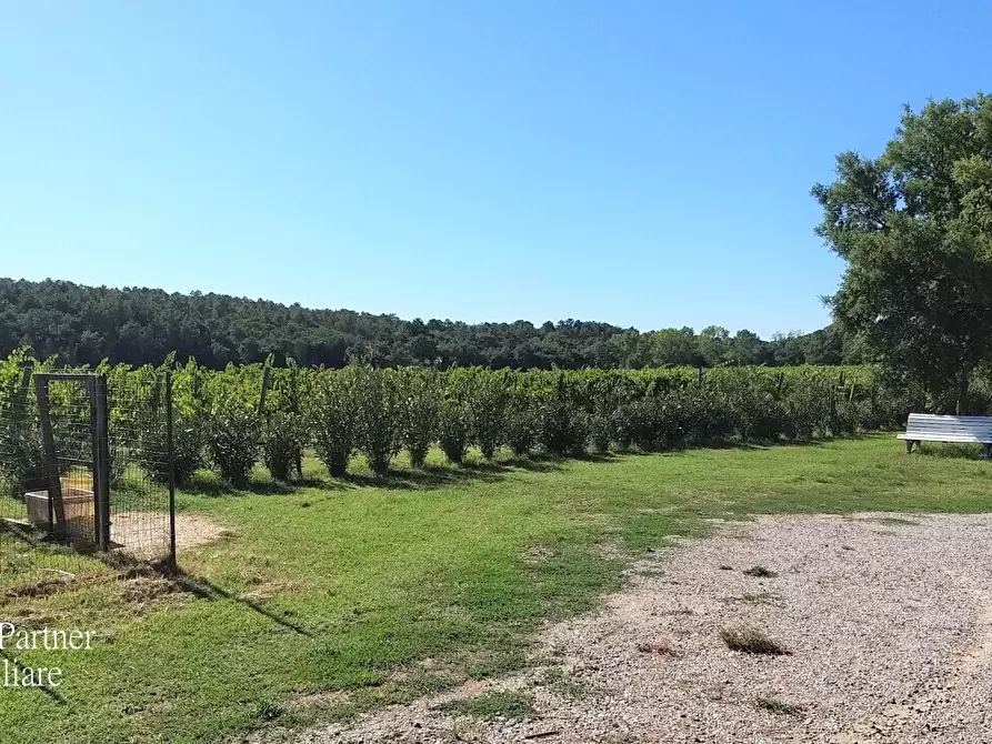Immagine 19 di Rustico / casale in vendita  in Località Croce 68 a Castiglione Del Lago