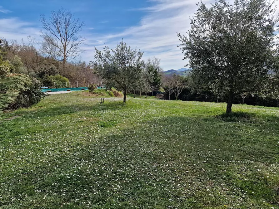 Immagine 53 di Rustico / casale in vendita  in Strada Provinciale della Montagna di Cetona a Sarteano